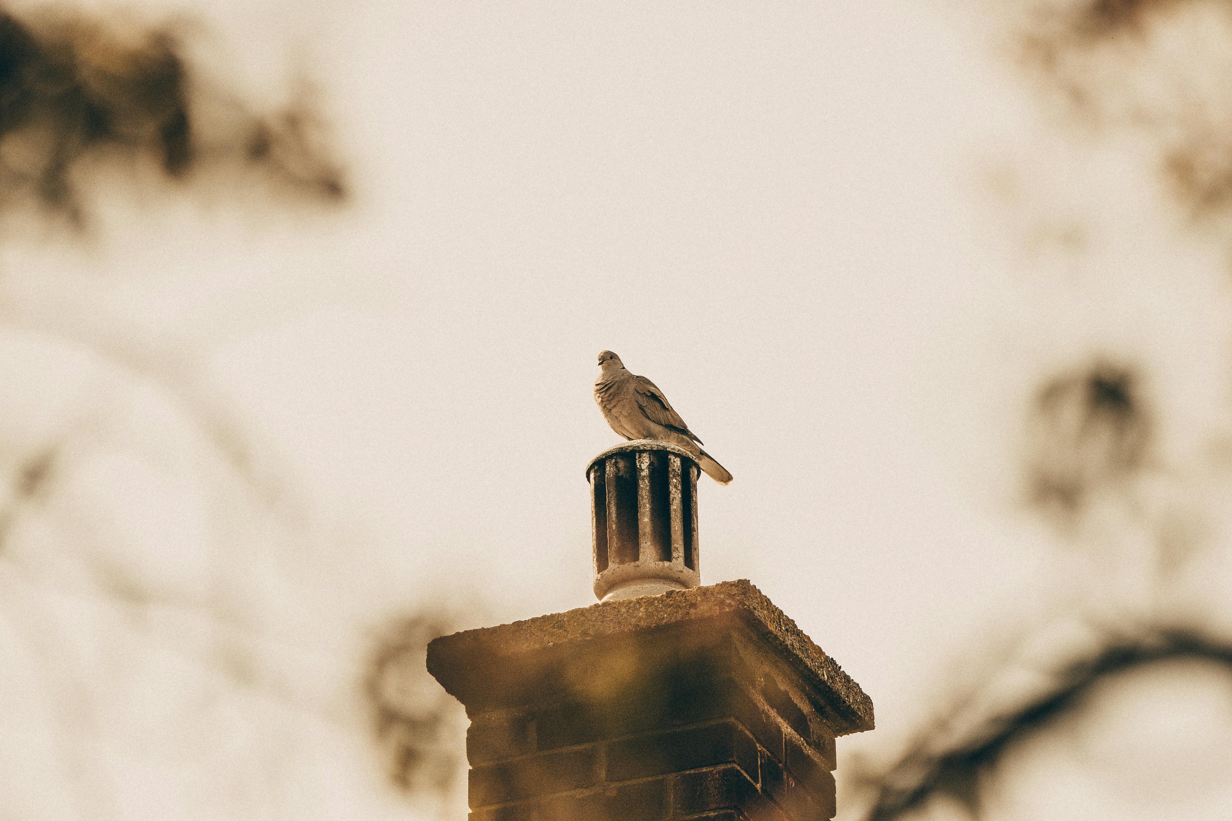 Professional Chimney Cap Installation Services in Harvey, IL Expert Chimney Cap Installation in Harvey, Illinois